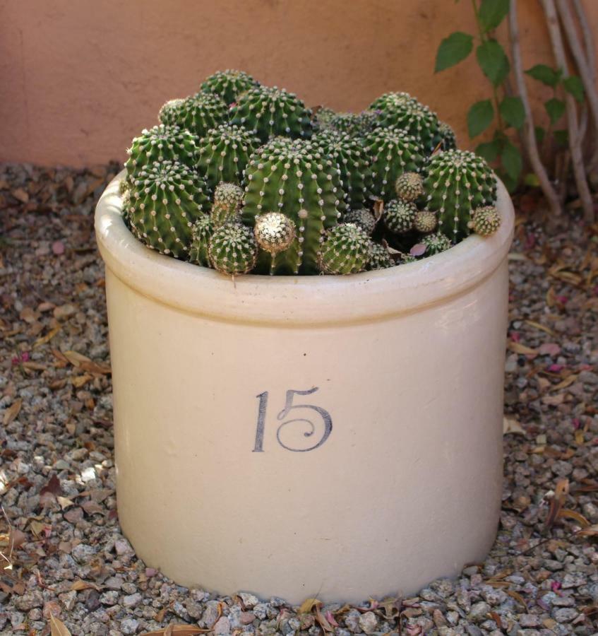Adobe Rose Inn Tucson Exterior foto